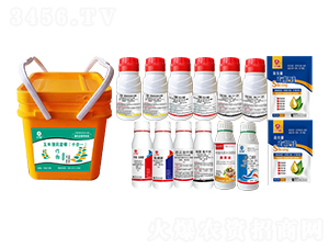 ���ױ���M�����b��ʮ��һ��-�l(xi��ng)�弾�L(f��ng)