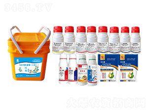 ���ױ���M�����b���˺�һ��-�l(xi��ng)�弾�L(f��ng)