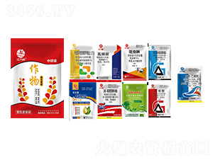 ���b��������ײͣ��˺�һ��-�l(xi��ng)�弾�L(f��ng)