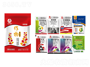 �������M�����b�����b��-�l(xi��ng)�弾�L(f��ng)