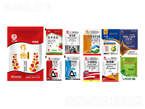 ����M�����b�����b��-�l(xi��ng)�弾�L(f��ng)