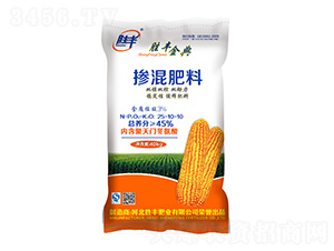 �pģ�p�ؓ������25-10-10-���S���-���S�ʘI