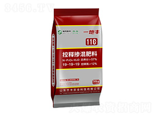 ��ጓ������19-19-19-һ���S-�R�S�r�I