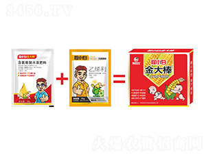 ���װ��ѿ��������ײ�-��С�׽���-���r�r�I