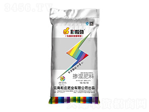 �������19-19-19-������-���f�ʘI