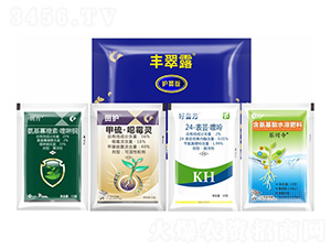 �S��¶���o��棩-����¡����