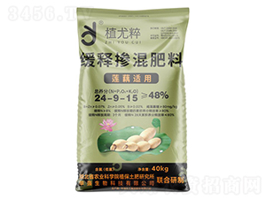 ɏź�m�þ�ጓ������24-9-15-ֲ�ȴ�-�A���������F