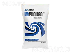 �����{�턩-�����ɷ�