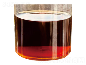 �o�}�ͺϰ�����ĸҺ-Ͷ����