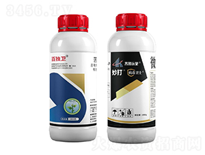 �������M��-�٪��l(w��i)-�G������