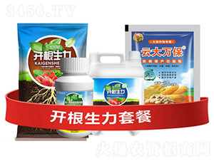 �_�������ײ�A-�ƴ�Ƽ�