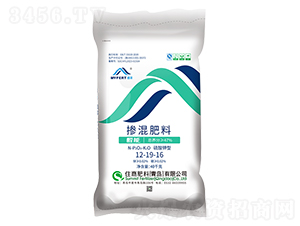 ���S��ጓ����12-19-16-ס�̷���