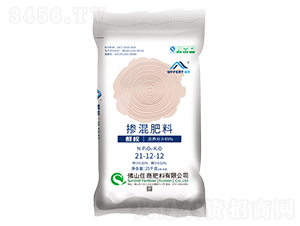 ���S��ጓ������21-12-12-ס�̷���