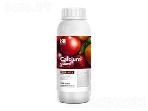 �ЙCҺ�w�Ǵ������}��-�}�lʿ-�Pِ�Z