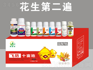 ��������ˎ������-�P�