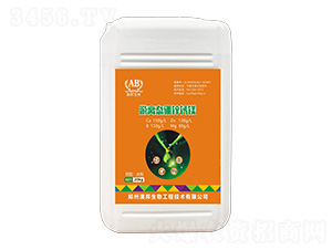 ���x�B���\�}�V-�İ�����