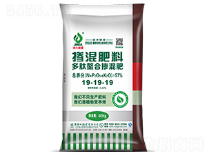 �������ϓ����19-19-19-���ʢԴ