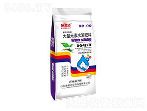 ����Ԫ��ˮ�ܷ���5-5-42+TE-ʩ���_