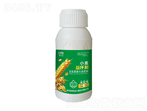 ��������ˮ�ܷ���-С����Ǫ-�İ�����