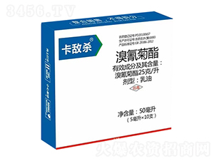 25��/�������������-������-��������