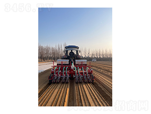 2��8�С��������޲˲��N�C-��혾��h