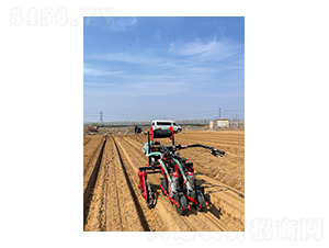 ��������ʽ�������(q��)�}���ײ˲��N�C(j��)-��혾��h