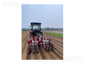 ������ײ˲��N�C-��혾��h