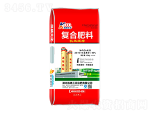 ���\�����ͺϷ���28-10-10-�P�����h