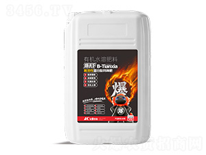 �߻��Ե������طN��-������-��������