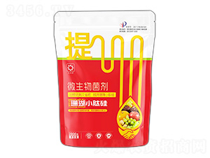 ΢�������-ɺ��С�Ĺ�-�����r(n��ng)�I(y��)