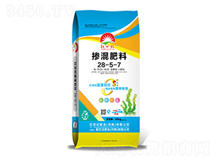 �������28-5-7-�t���o