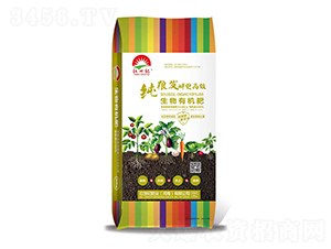 ���Z�l(f��)�������ЙC��-�t���o