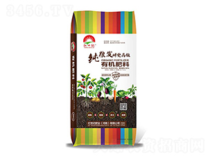 ���Z�l(f��)�������ЙC����-�t���o