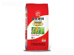 �����p���pЧ�ͺϷ���29-5-6-�t���o