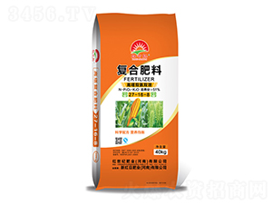 �����p���pЧ�ͺϷ���27-16-8-�t���o