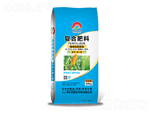 �����p���pЧ�ͺϷ���27-4-5-�t���o