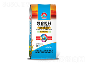 �����p���pЧ�ͺϷ���20-10-20-�t���o