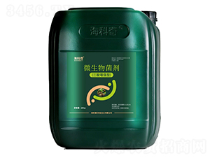 ΢������������������ͣ�-������